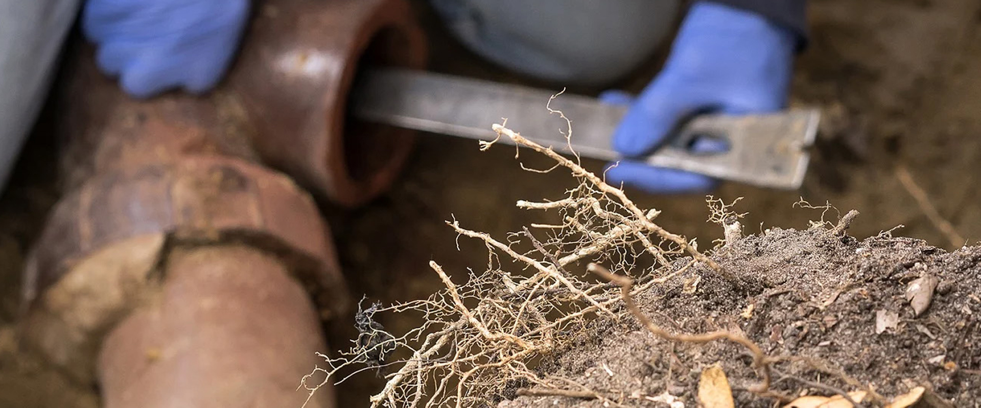 Drain Cleaning