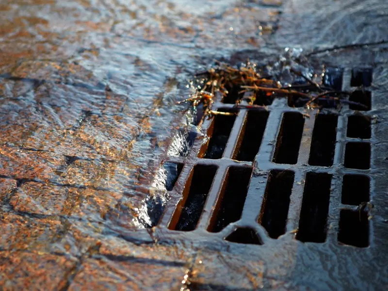 Expert Drainage Solutions for Sydney’s North Shore
