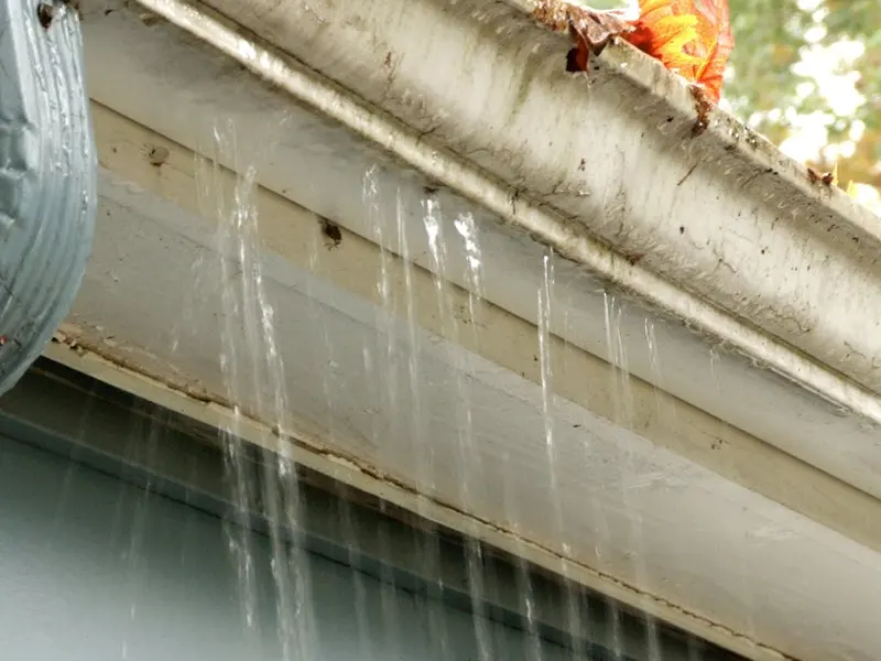 Roof & Gutter Leaks