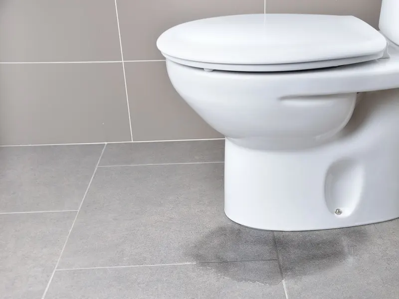 Tap & Toilet Emergencies